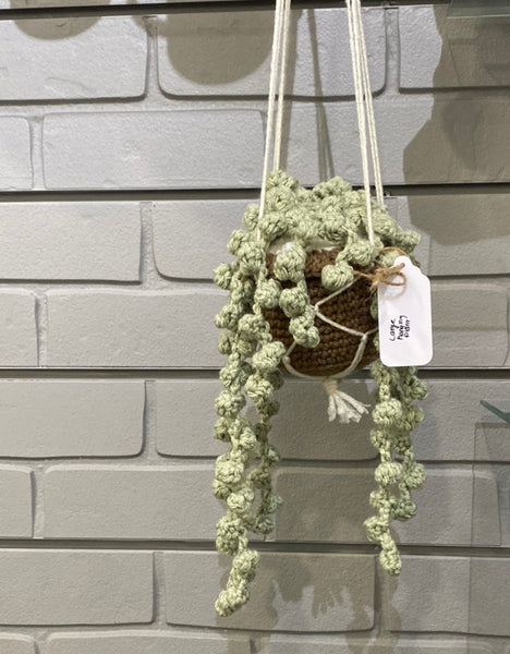 Crocheted Hanging Plants, Assorted Sizes, Styles & Colors