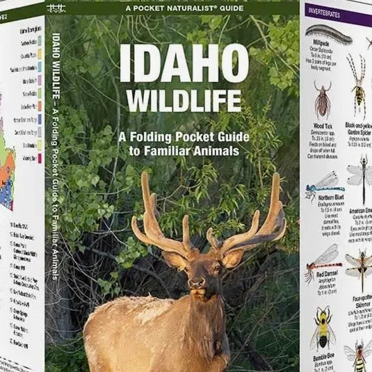 Idaho Pamphlets, Assorted