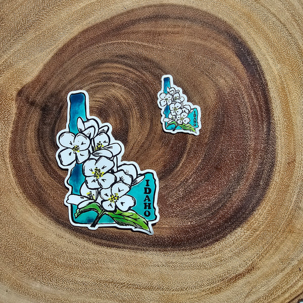 Idaho Syringa Sticker, Idaho’s State Flower