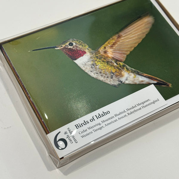 Hiking Idaho, Birds of Idaho Set 2 Greeting Cards 6pack