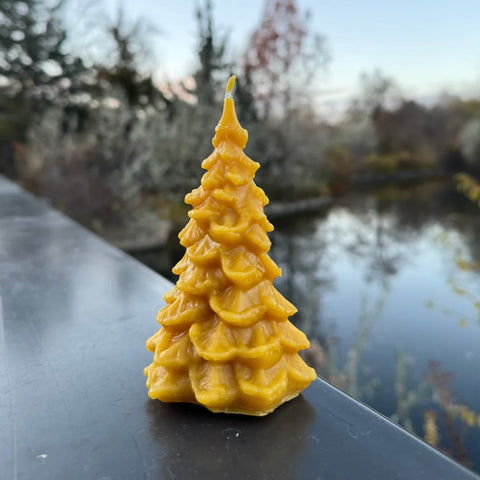 Pine Tree Beeswax Candle (Large) 5oz