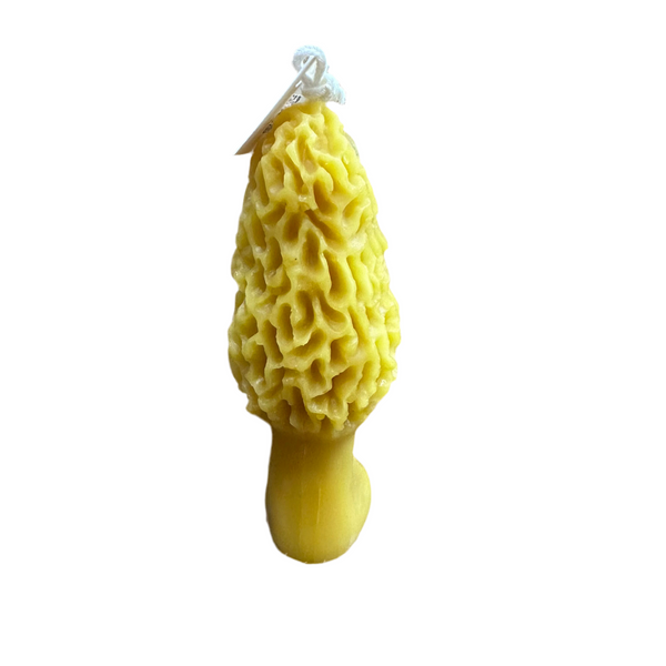 Morel Beeswax Candle 3oz
