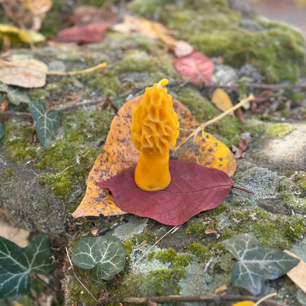 Morel Beeswax Candle (Mini) 1oz