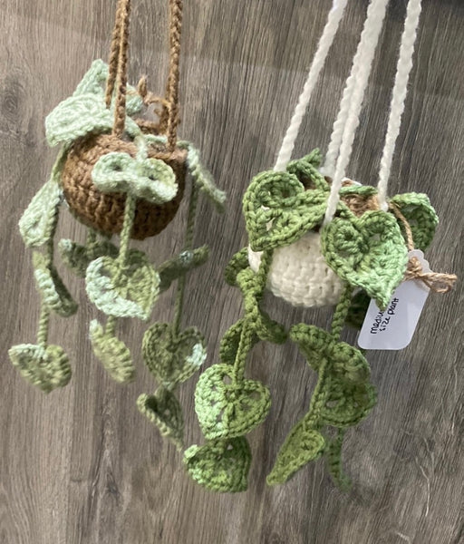 Crocheted Hanging Plants