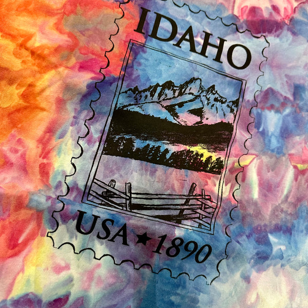 Ice Dyed Idaho Postage Stamp T-shirt, Adult Sizes, Eco Friendly Waterbased Inks