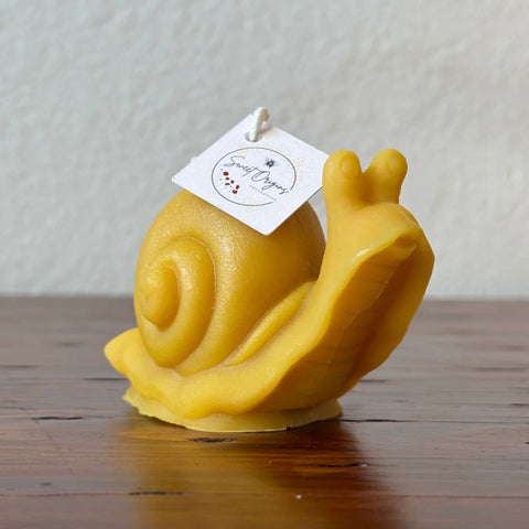 Snail Beeswax Candle 2oz