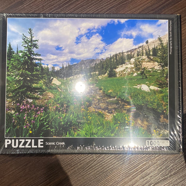 Hiking Idaho 1000 Piece Assorted Styles Puzzles