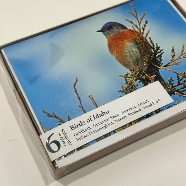 Hiking Idaho, Birds of Idaho Greeting Cards 6pack