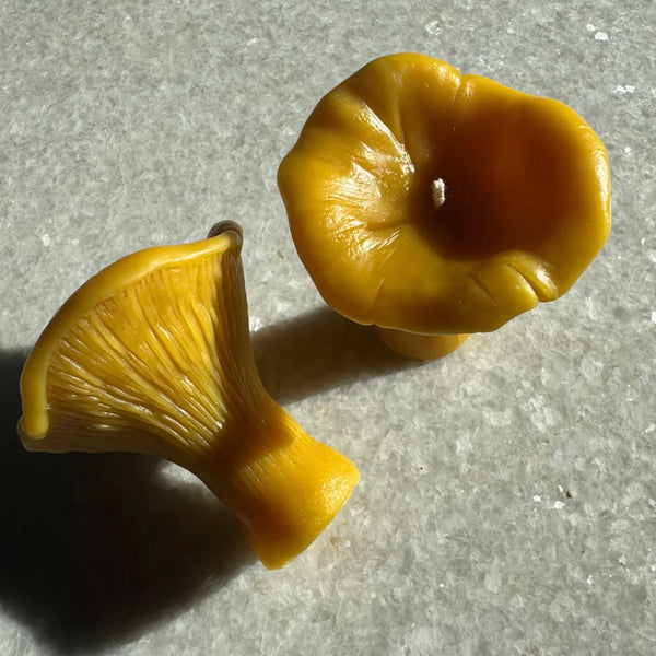 Chanterelle Beeswax Candle (Large) 3oz