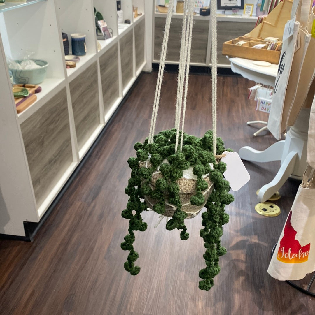 Crocheted Hanging Plants