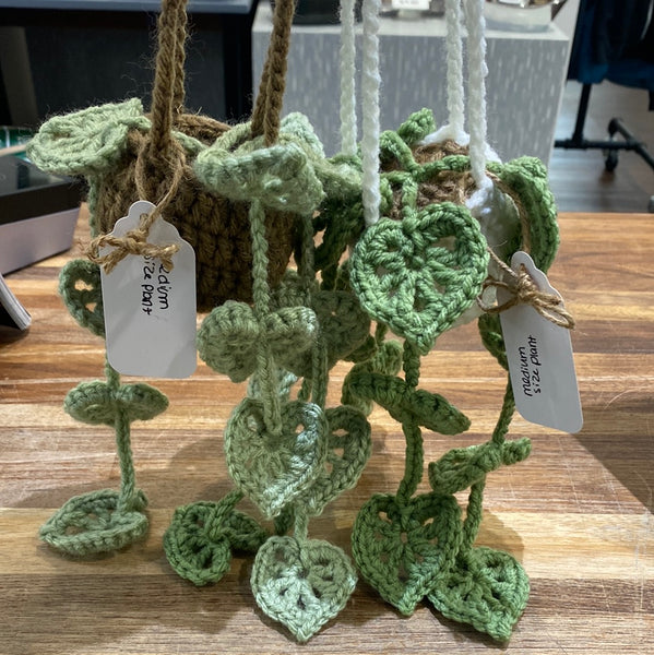 Crocheted Hanging Plants