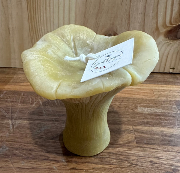 Chanterelle Beeswax Candle (Large) 3oz