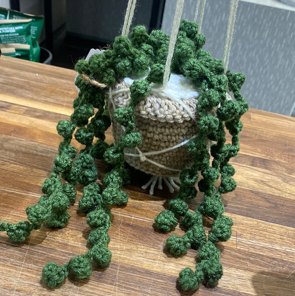 Crocheted Hanging Plants