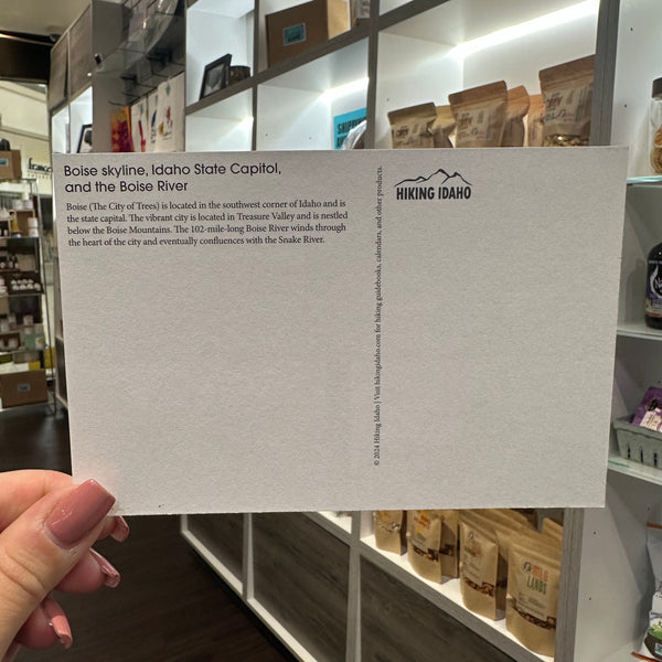 Boise Idaho Postcard