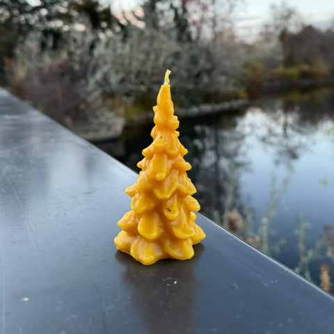 Pine Tree Beeswax Candle (Mini) 2oz