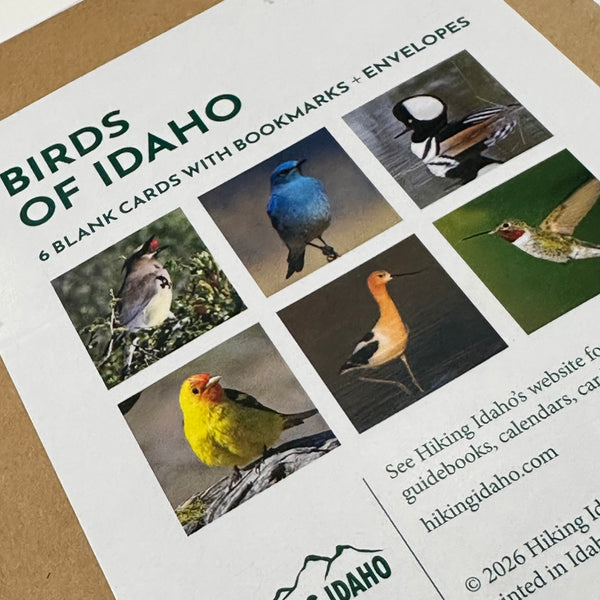 Hiking Idaho, Birds of Idaho Set 2 Greeting Cards 6pack