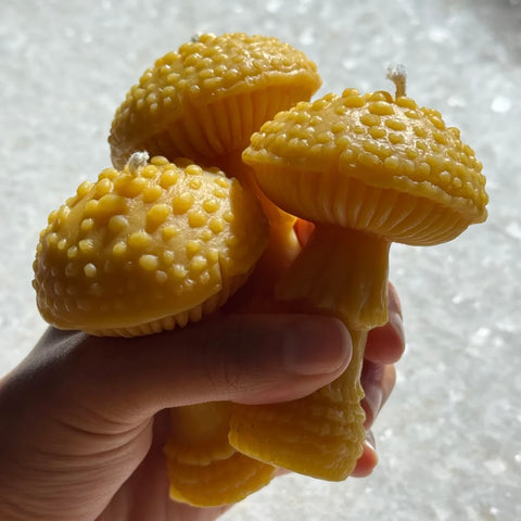 Amanita Beeswax Candle 3oz