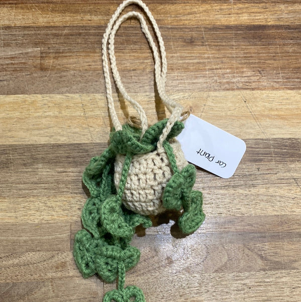 Crocheted Hanging Plants