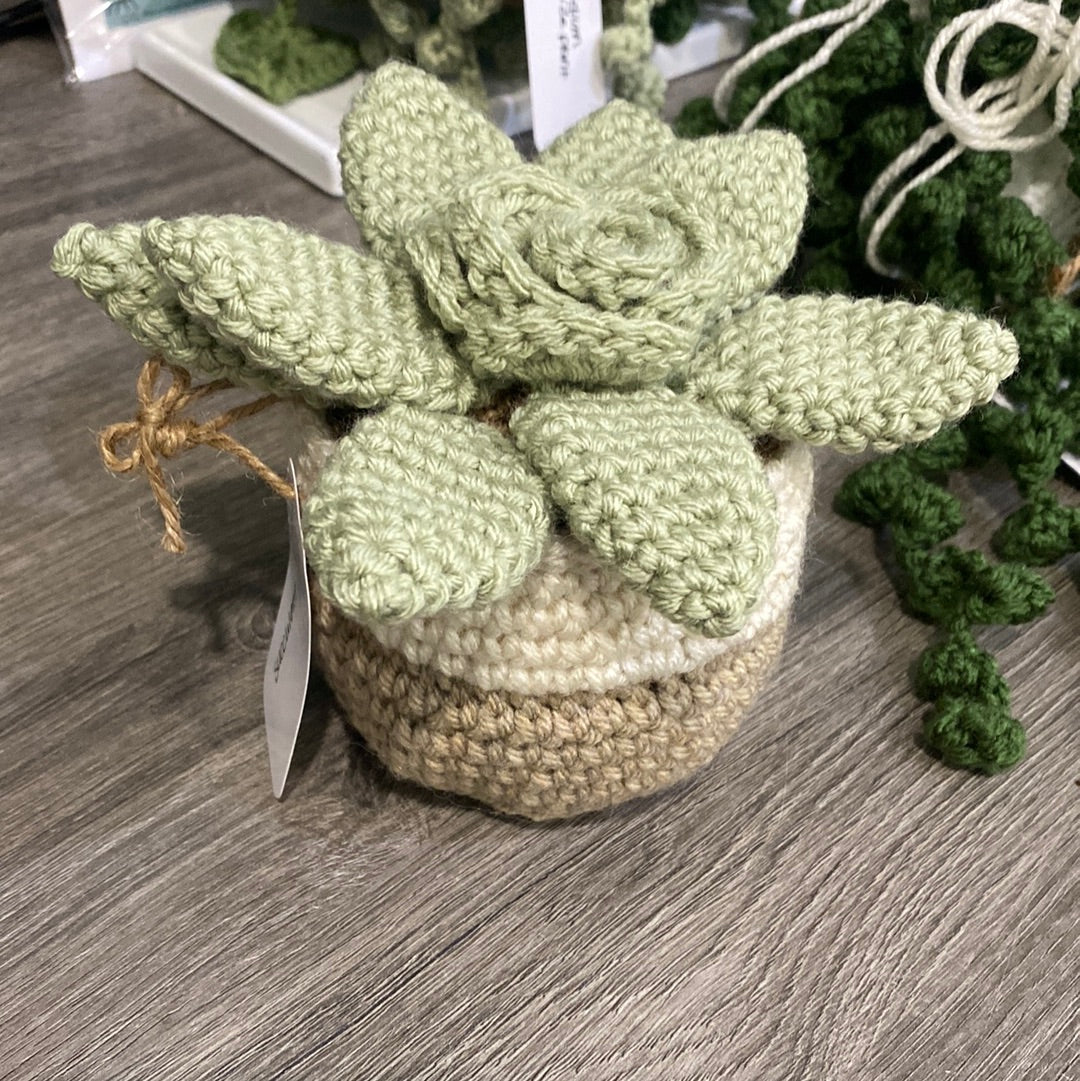 Crocheted Succulent Plant