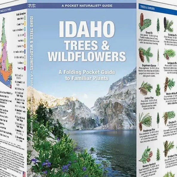 Idaho Pamphlets, Assorted