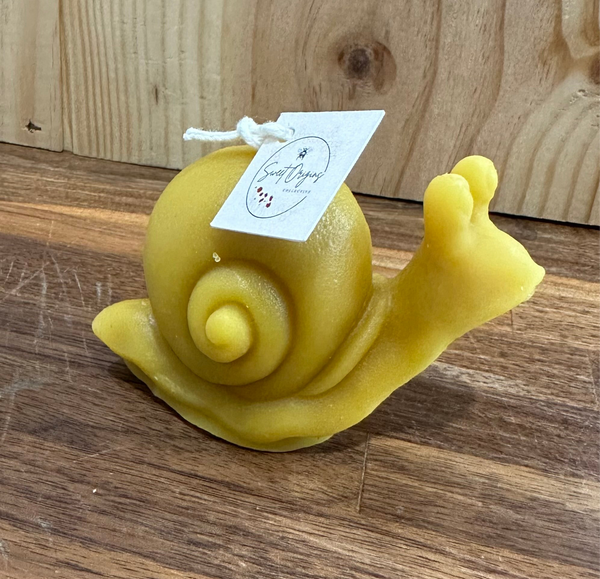 Snail Beeswax Candle 2oz