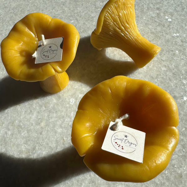 Chanterelle Beeswax Candle (Large) 3oz