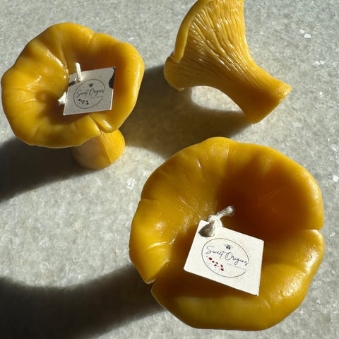 Chanterelle Beeswax Candle (Large) 3oz