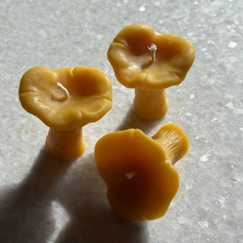 Chanterelle Beeswax Candle (Mini) 1oz