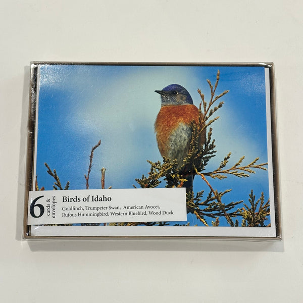 Hiking Idaho, Birds of Idaho Greeting Cards 6pack