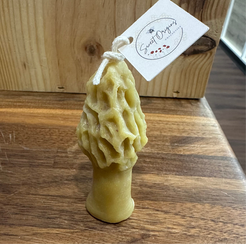 Morel Beeswax Candle (Mini) 1oz
