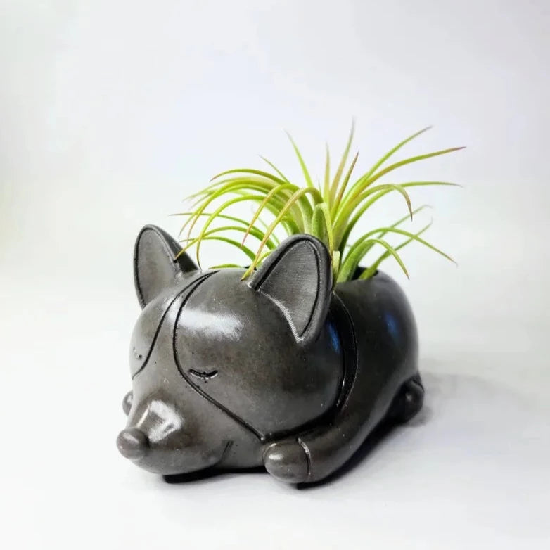 Corgi Dog Concrete Air Plant Pot