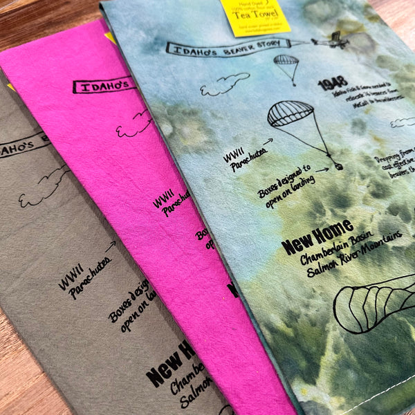 Dyed Idaho Beaver Story Tea Towel, Hand drawn and Screen Printed flour sack towel