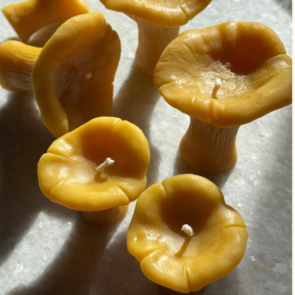 Chanterelle Beeswax Candle (Mini) 1oz