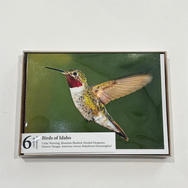 Hiking Idaho, Birds of Idaho Set 2 Greeting Cards 6pack