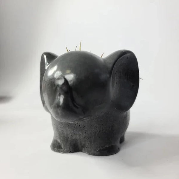 Elephant Concrete Air Plant Pot