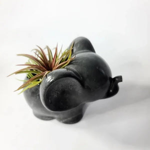 Elephant Concrete Air Plant Pot