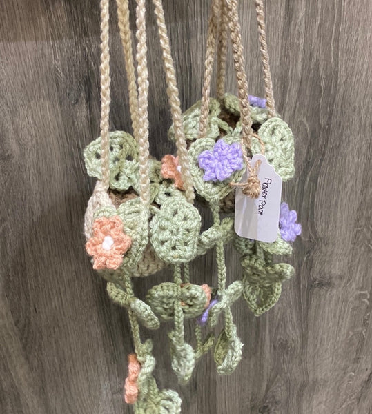 Crocheted Hanging Plants
