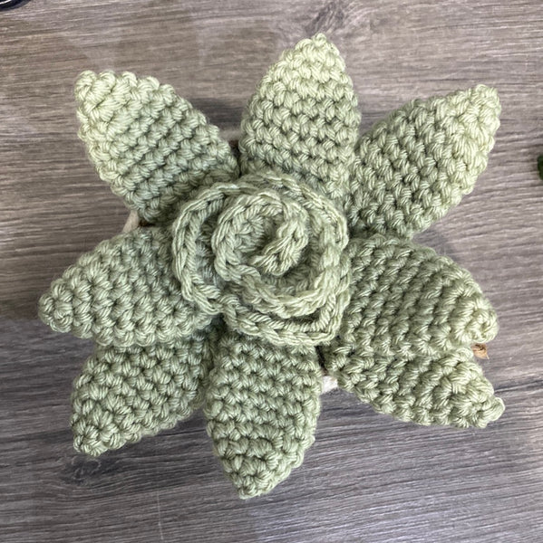 Crocheted Succulent Plant