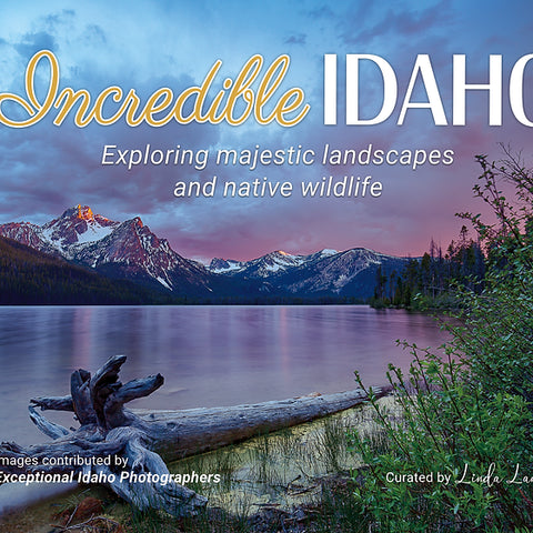 Incredible Idaho Book by Linda Lantzy