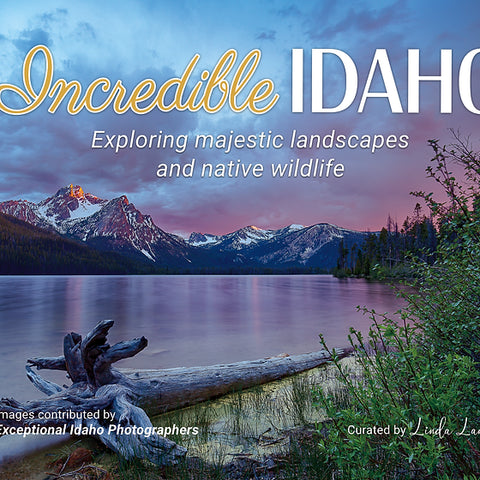 Incredible Idaho by Linda Lantzy