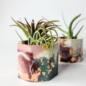 Helen Concrete Air Plant Pot