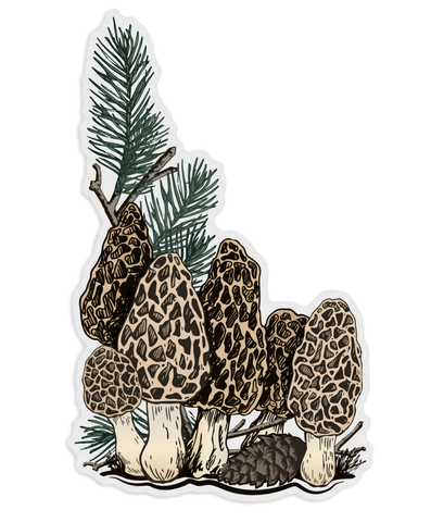 Morel Mushroom Sticker, Banana Ink.