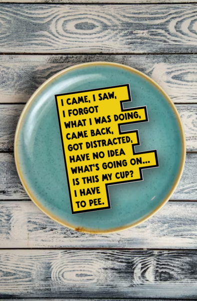 I came I saw I got distracted sticker