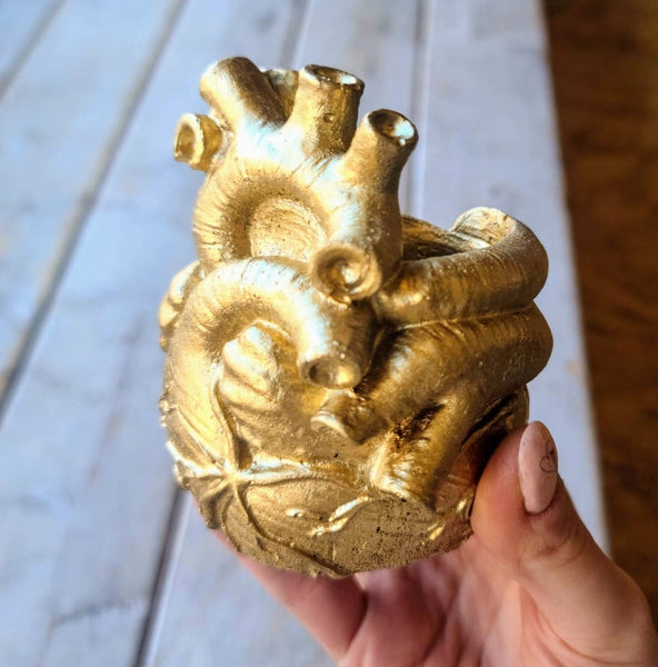 Anatomical Heart Concrete Air Plant Pot