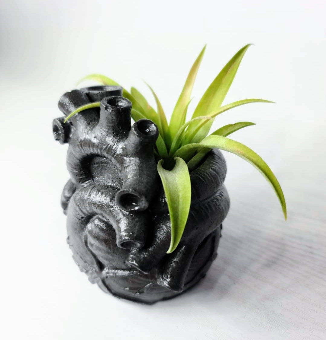 Anatomical Heart Concrete Air Plant Pot