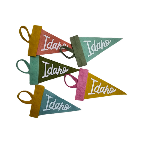 Mini Idaho Pennants, Assorted Colors!