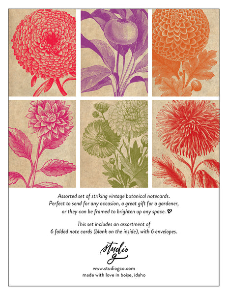 Bold Vintage Floral Greeting Cards - Set of 6