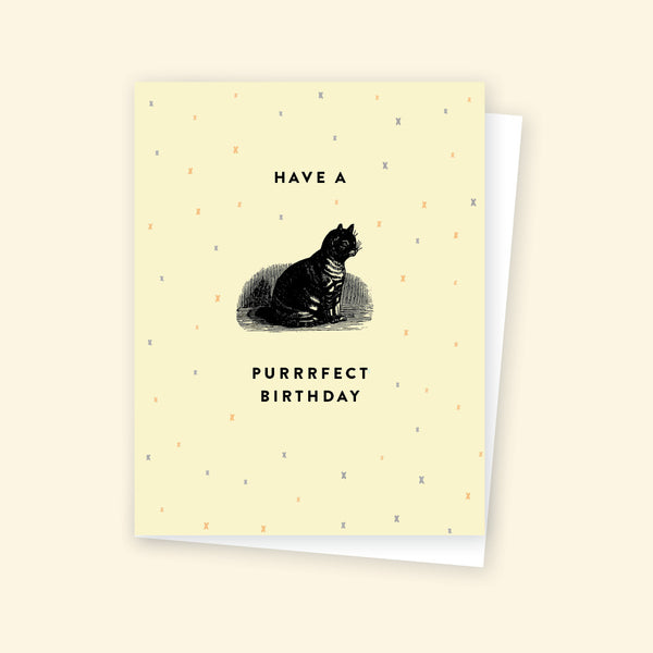 Greeting card - Purrrfect Birthday
