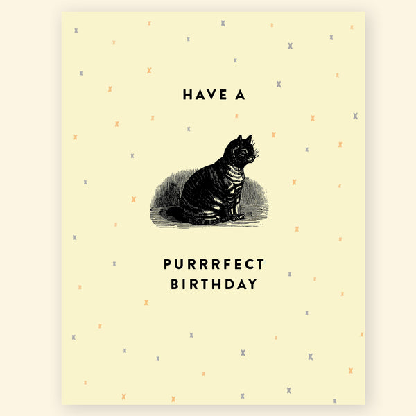Greeting card - Purrrfect Birthday
