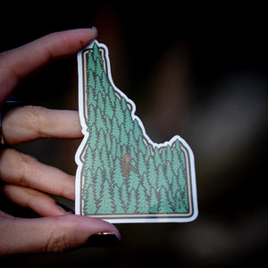 Peek a boo Bigfoot Sticker, CDA